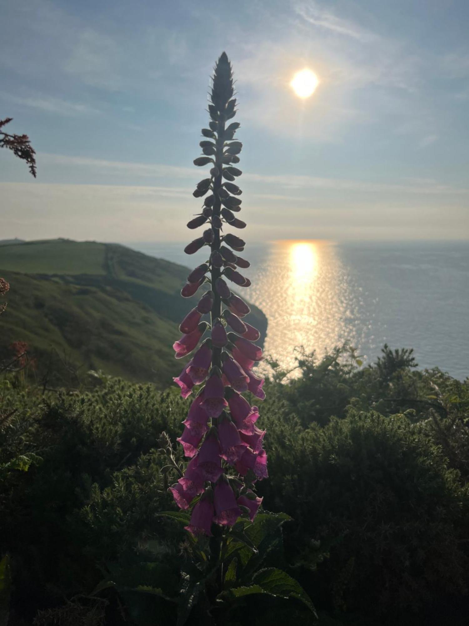Courtyard Farm Cottages Boscastle Εξωτερικό φωτογραφία