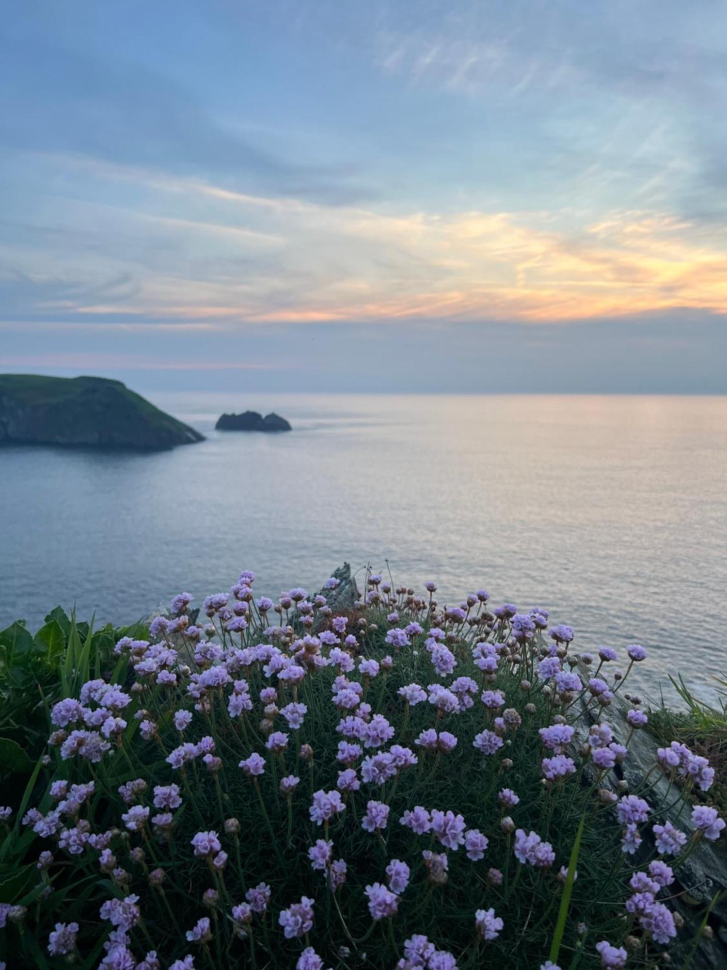 Courtyard Farm Cottages Boscastle Εξωτερικό φωτογραφία