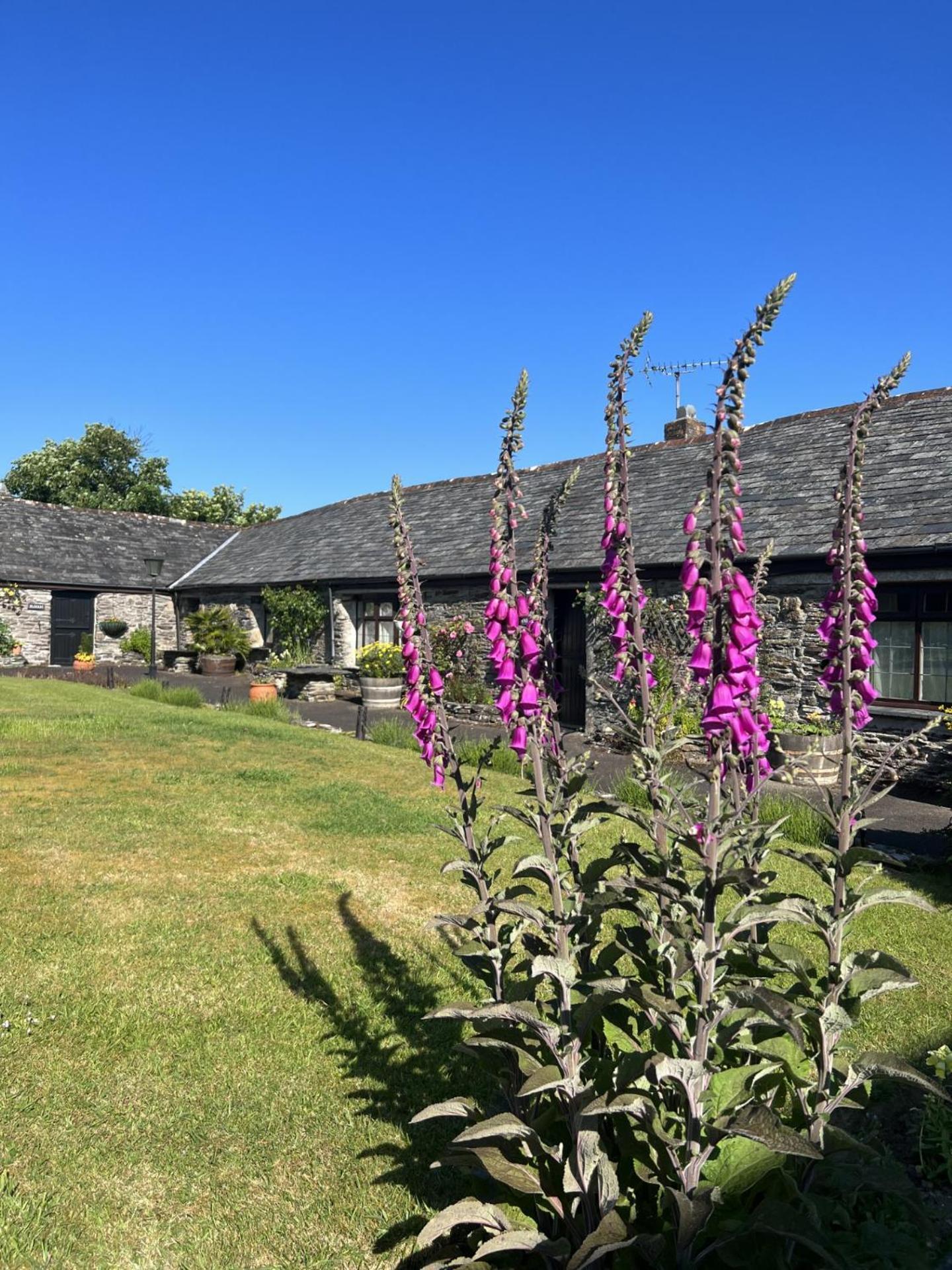 Courtyard Farm Cottages Boscastle Εξωτερικό φωτογραφία