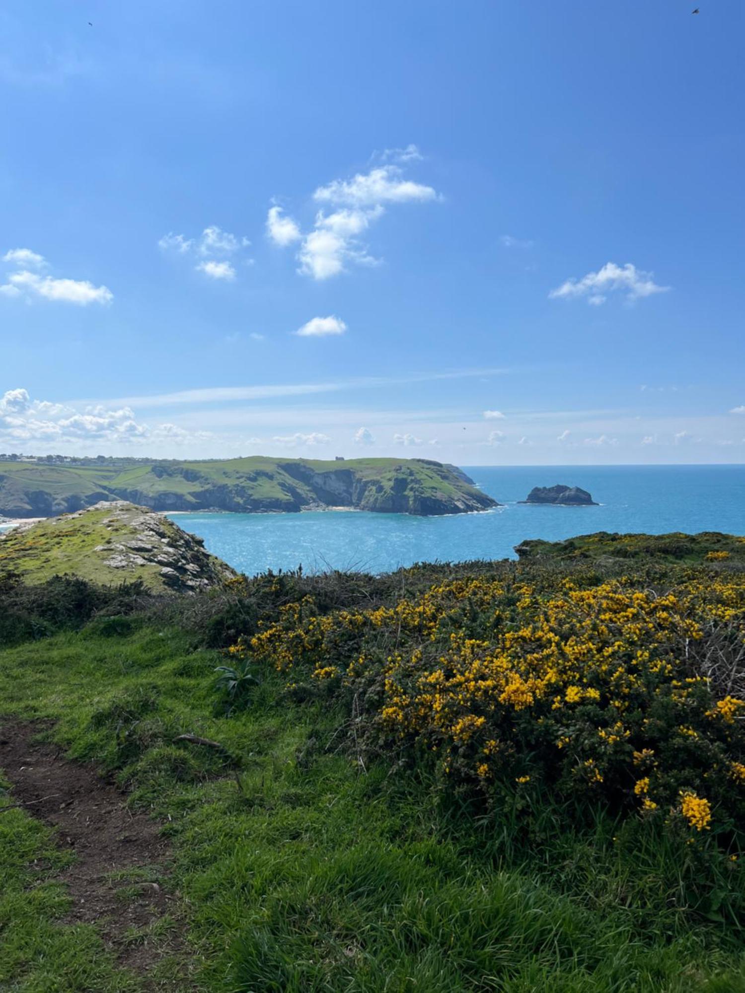 Courtyard Farm Cottages Boscastle Εξωτερικό φωτογραφία