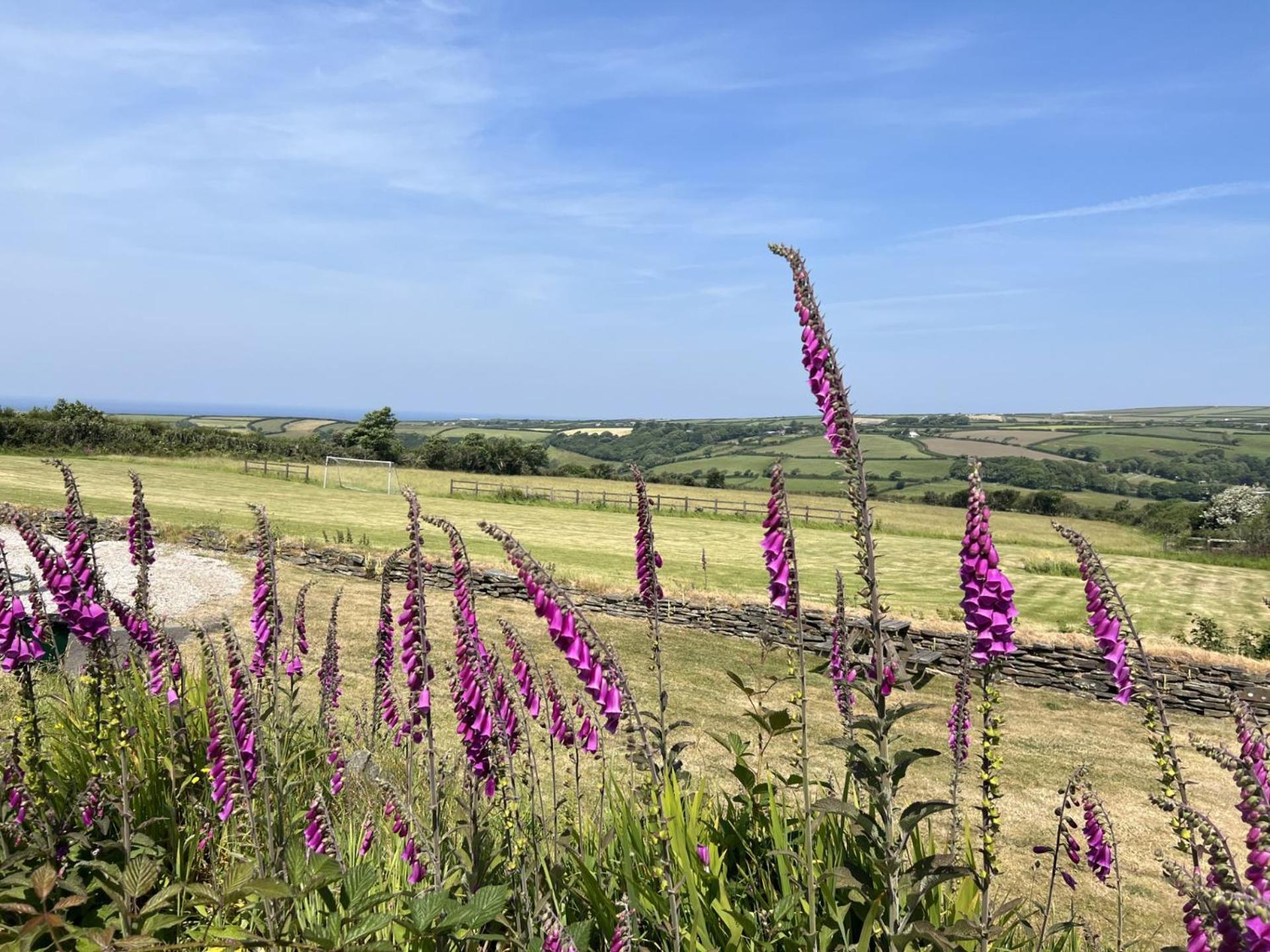 Courtyard Farm Cottages Boscastle Εξωτερικό φωτογραφία
